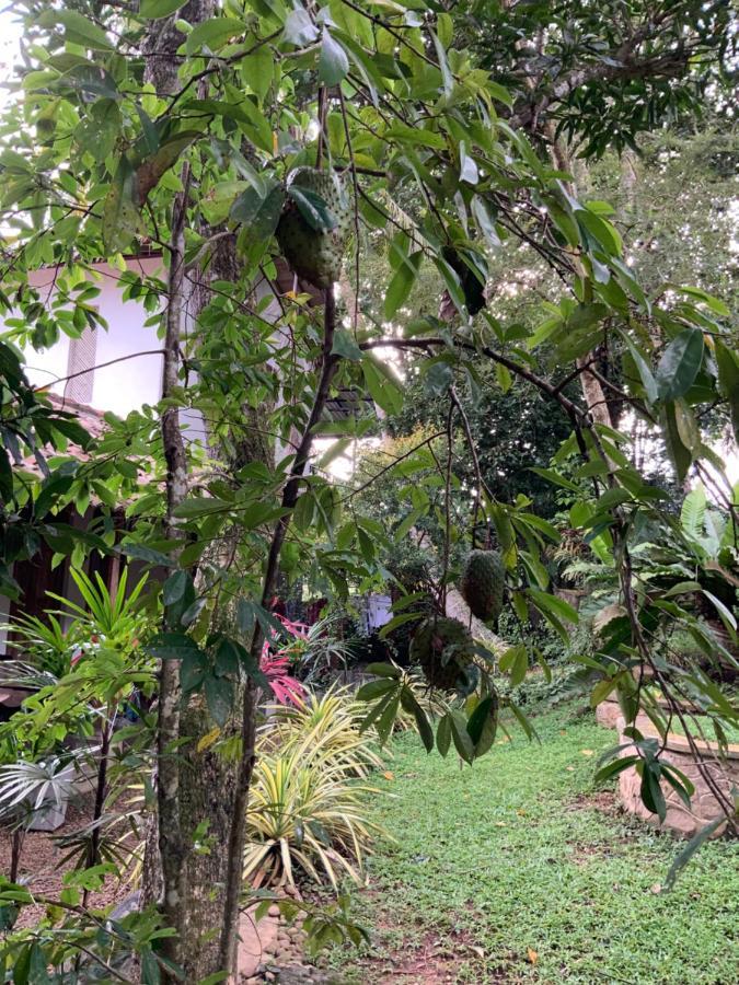 Lali Villa & Fruit Garden Galle Eksteriør bilde