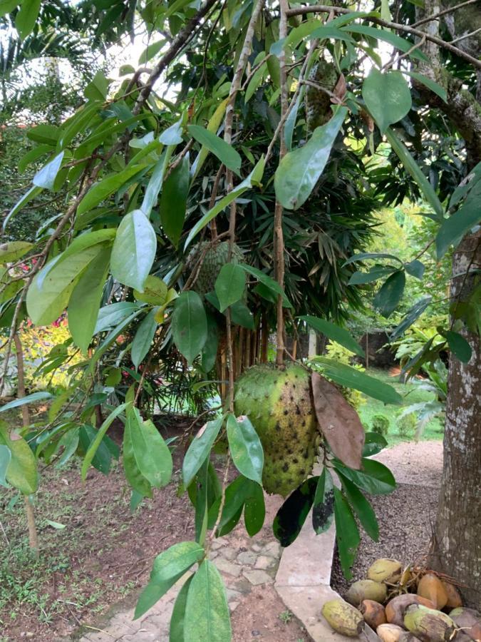 Lali Villa & Fruit Garden Galle Eksteriør bilde