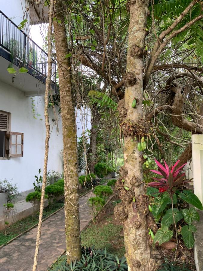 Lali Villa & Fruit Garden Galle Eksteriør bilde
