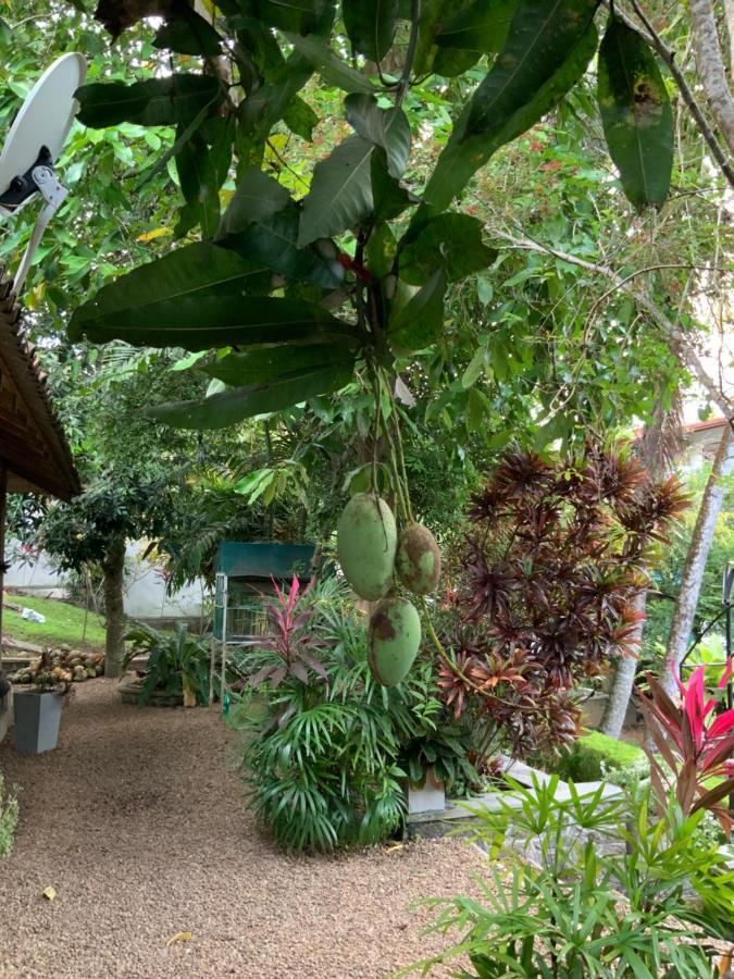 Lali Villa & Fruit Garden Galle Eksteriør bilde